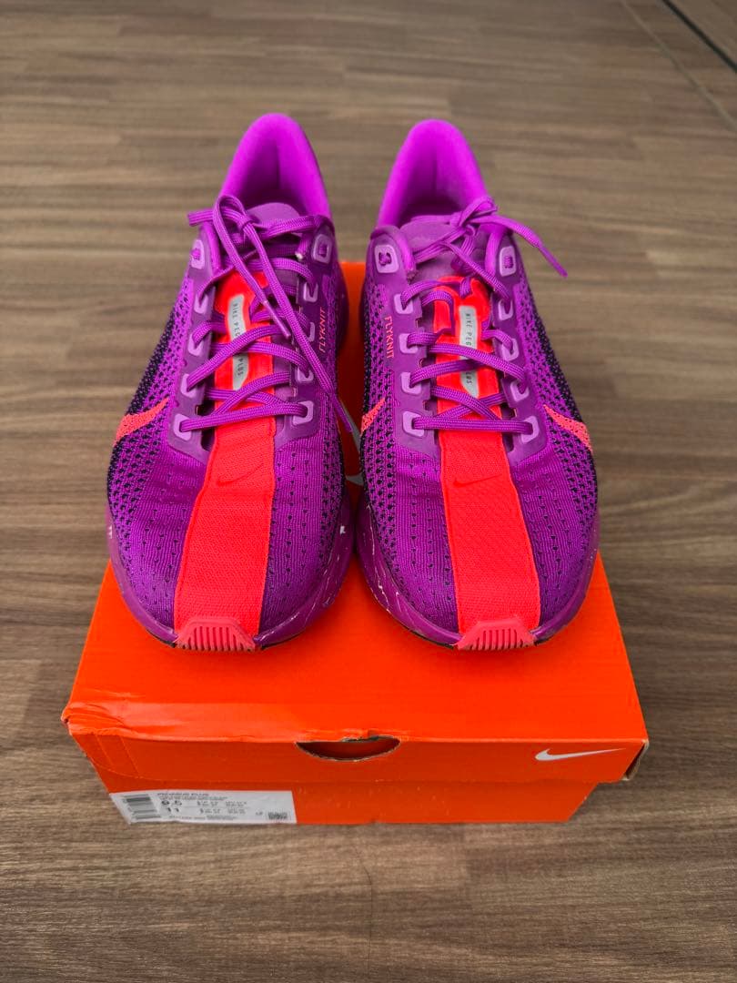 Nike Pegasus Plus ペガサス プラス27.5cm