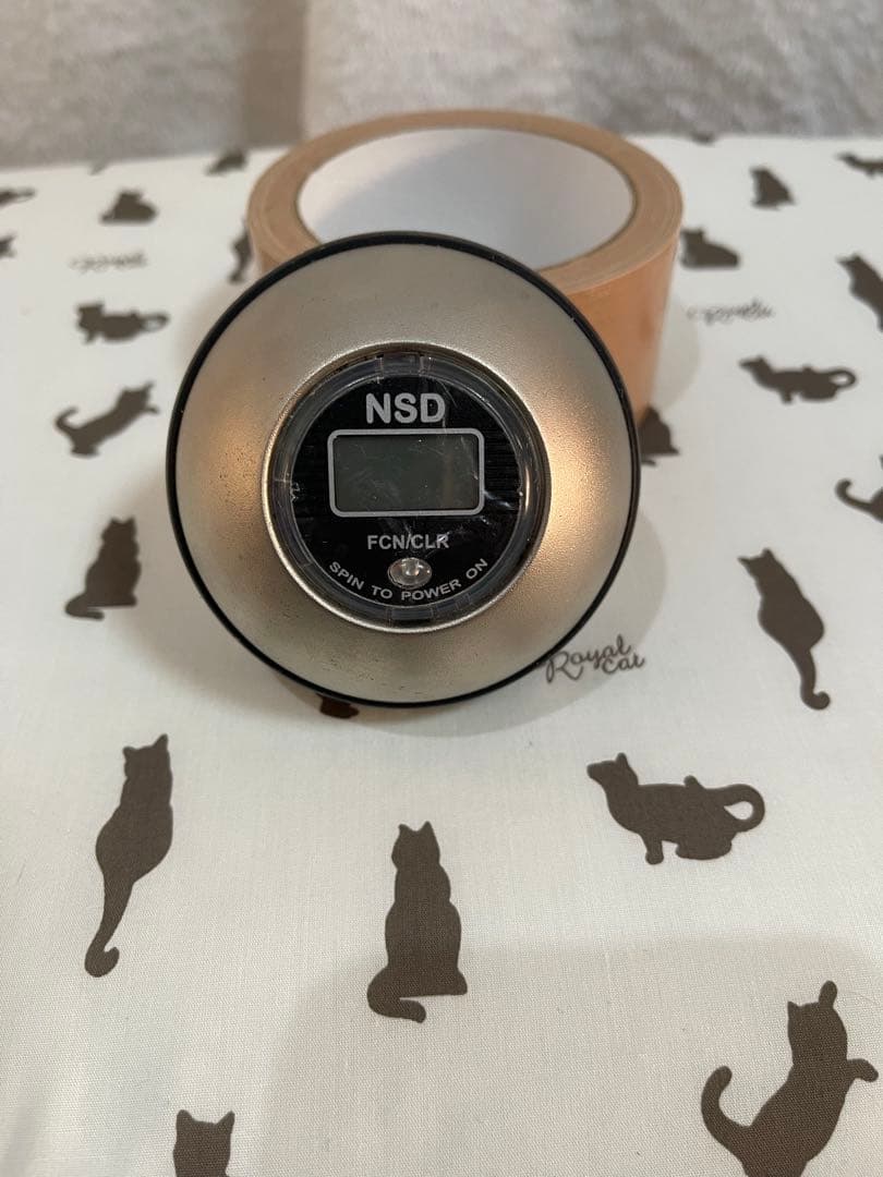 NSD Spinner 筋トレ