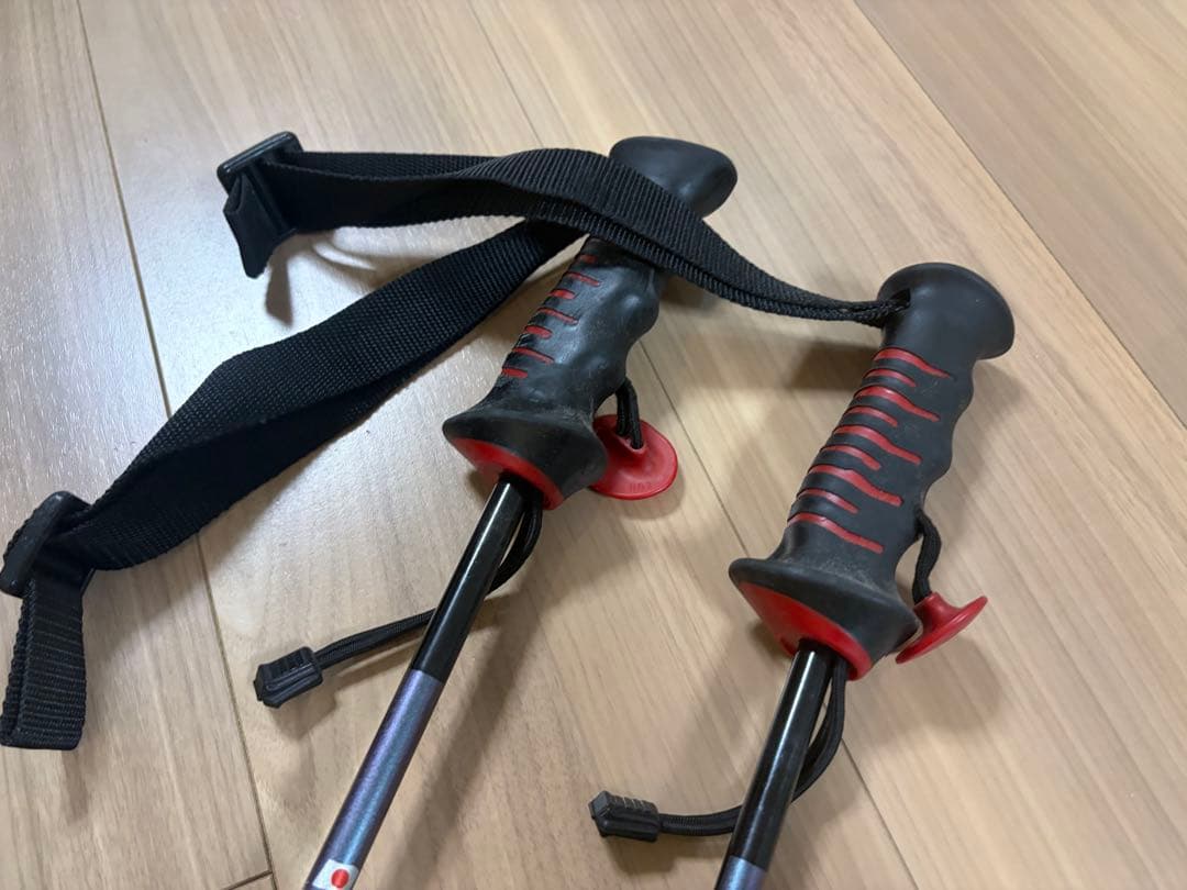 シナノ　カーボン　スキーポール ストック デモ　技術選　SAJ お洒落