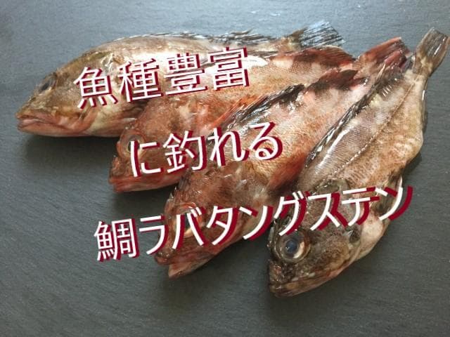 E type 80g3個 グロー 装着 爆光 鯛ラバ タングステン 鯛ラバ