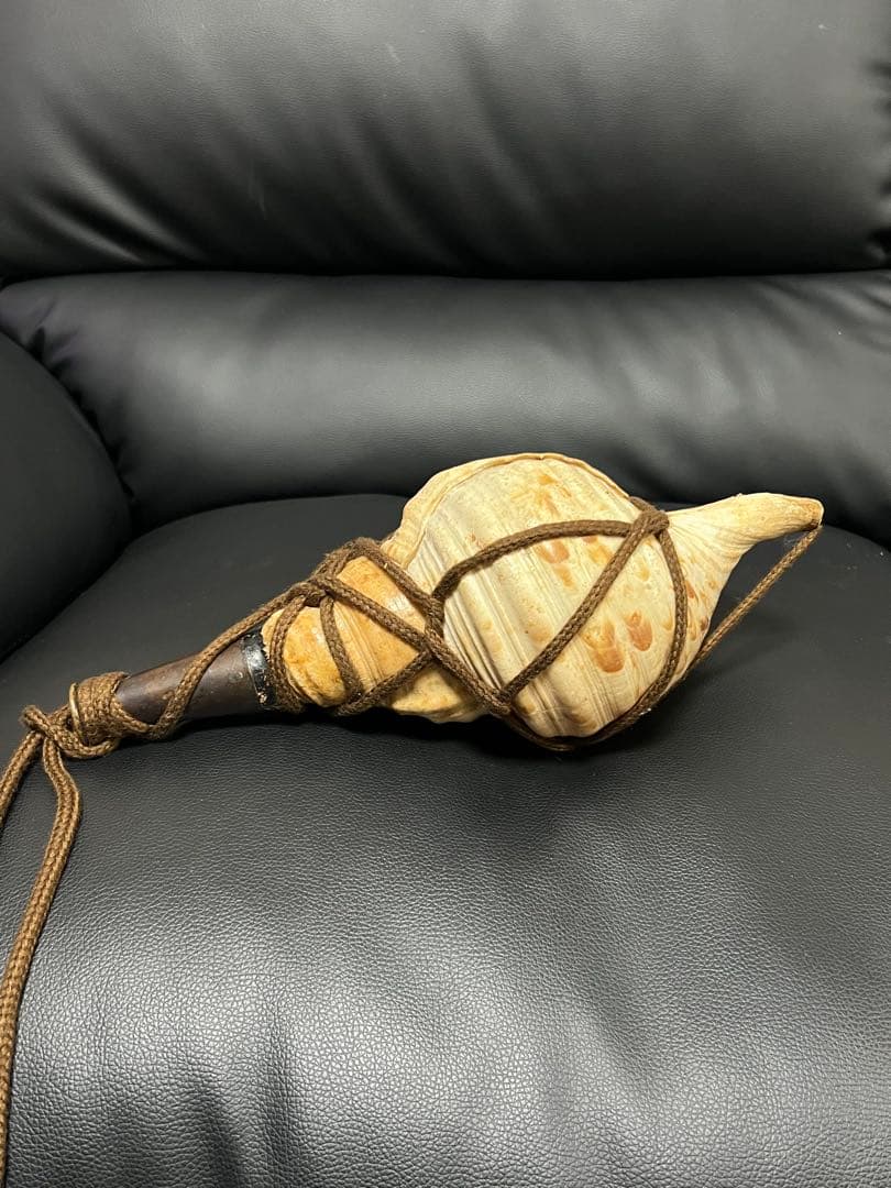 法螺貝 ホラ貝 螺貝 約30cm 和楽器