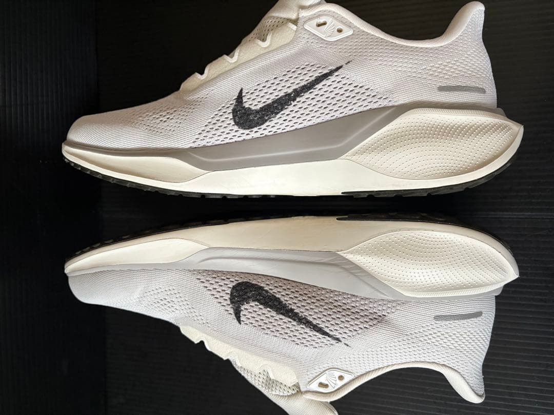 NIKE ペガサス41 26.5cm