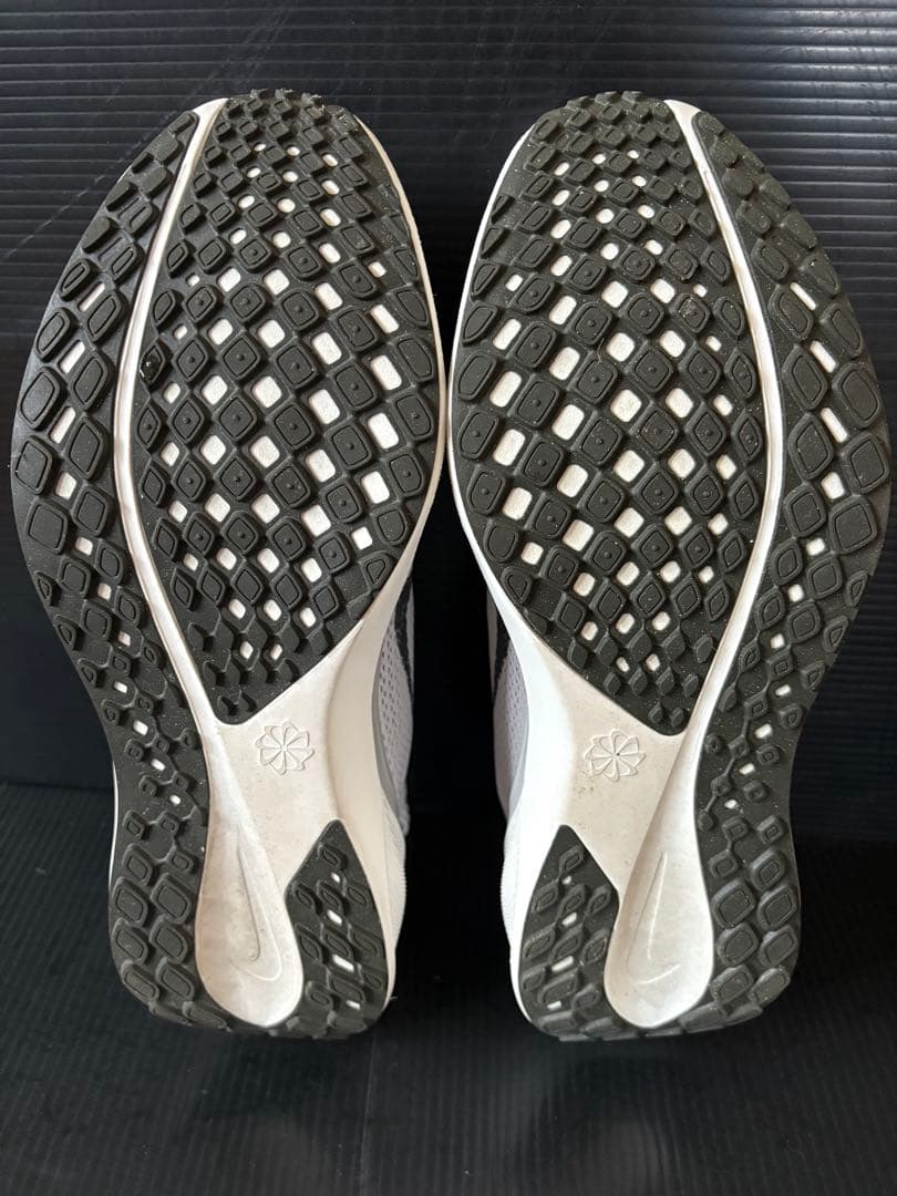 NIKE ペガサス41 26.5cm