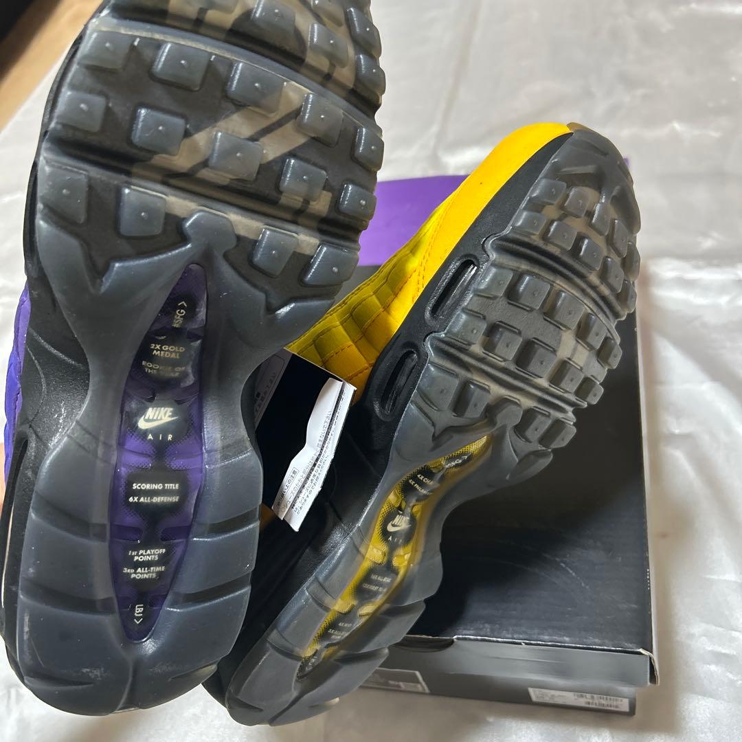 レブロンジェームズAIR MAX 95
