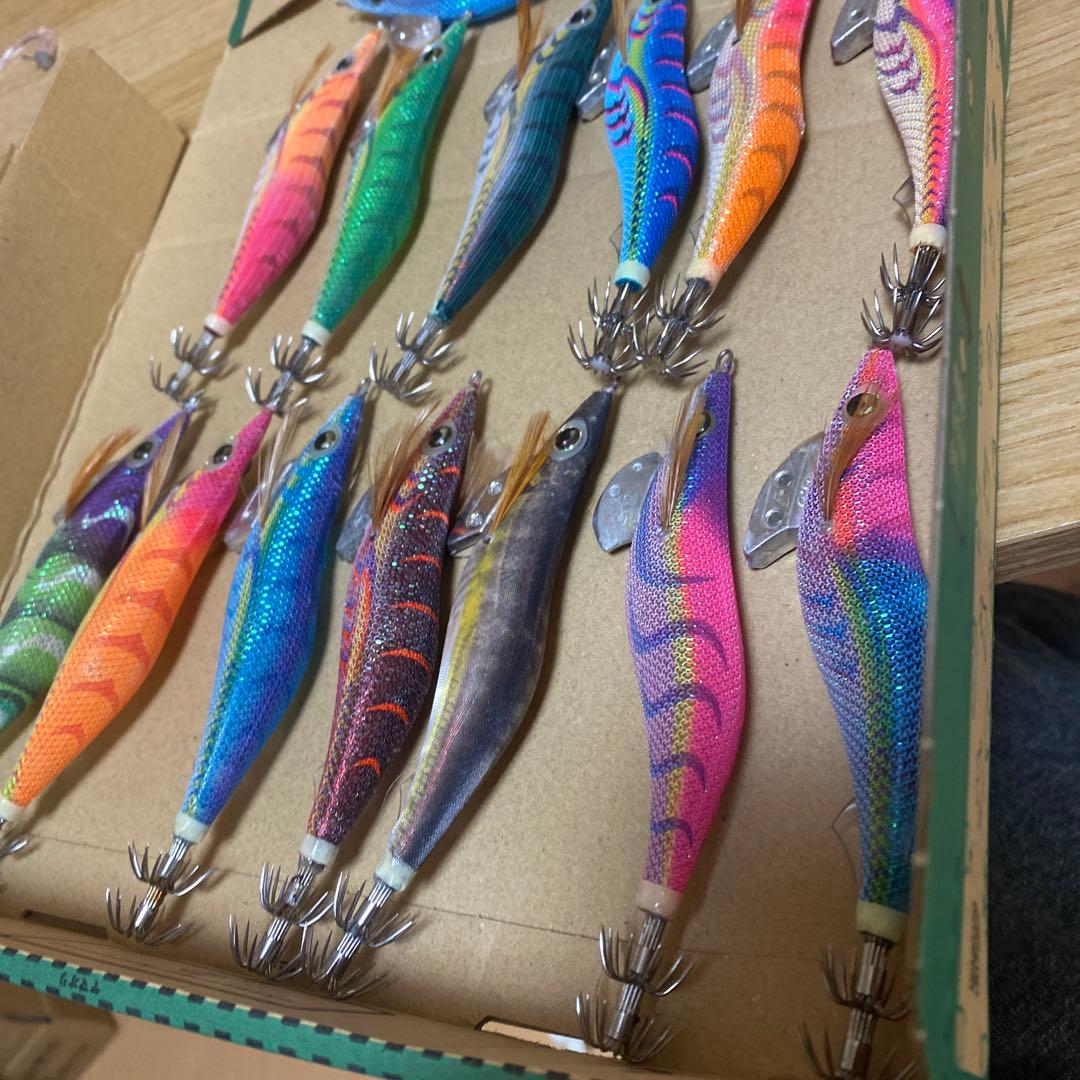 エギ 王セット