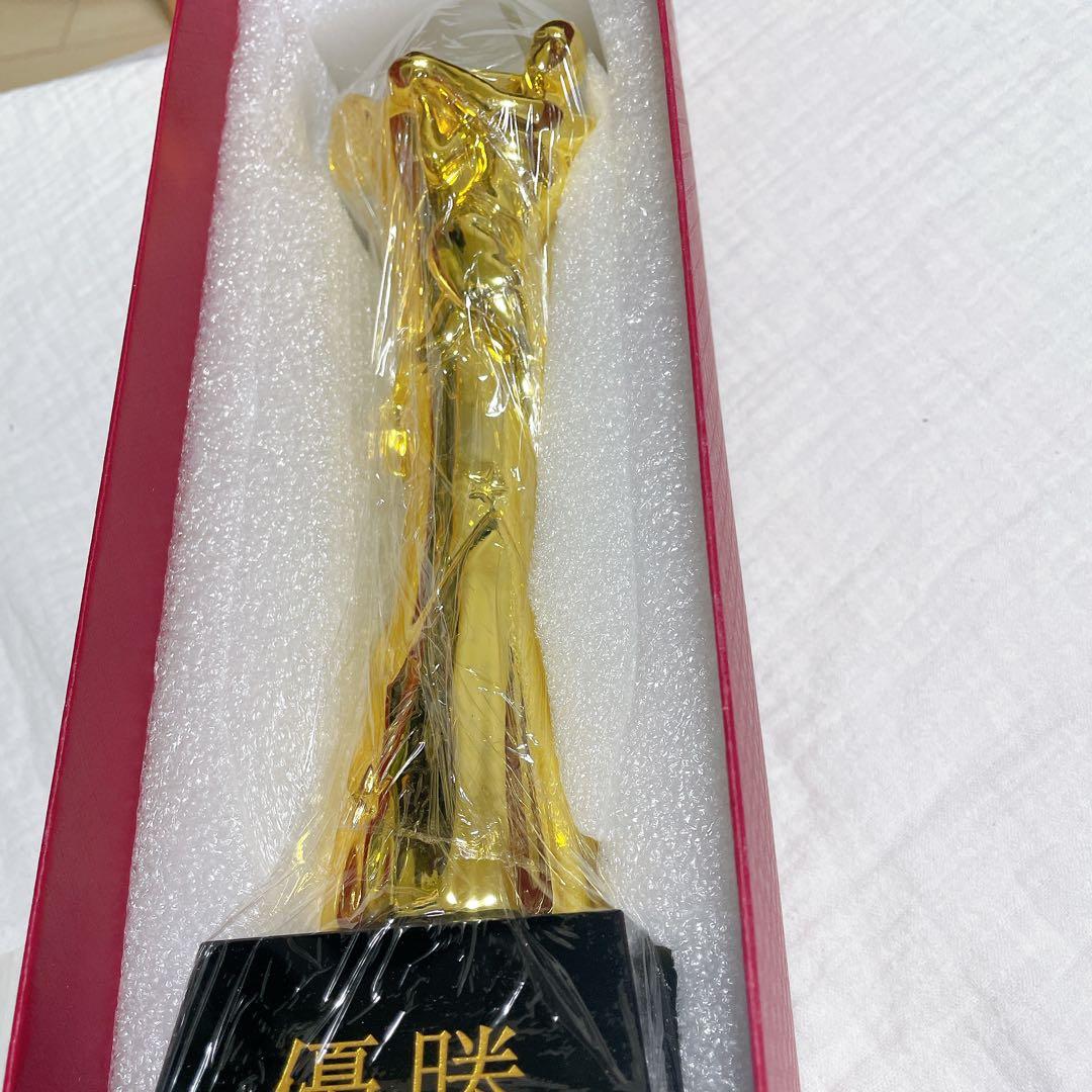 スポーツ テニス トーナメント 優勝トロフィー テニスの試合ダブルチーム賞