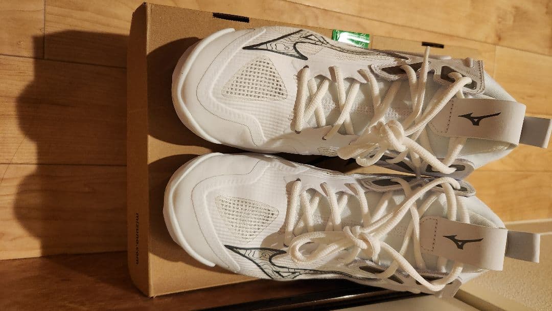 Mizuno バレーボールシューズ ウェーブモーメンタム3 MID 25cm