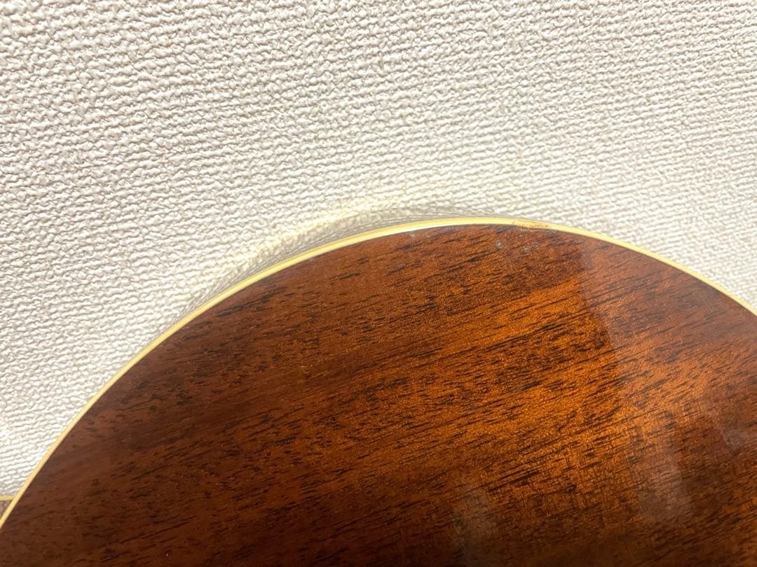 Walden アコースティックギター