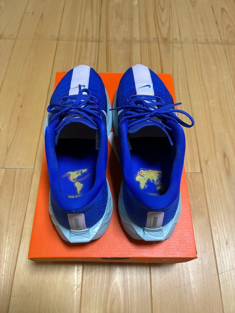 NIKE ペガサスプラス