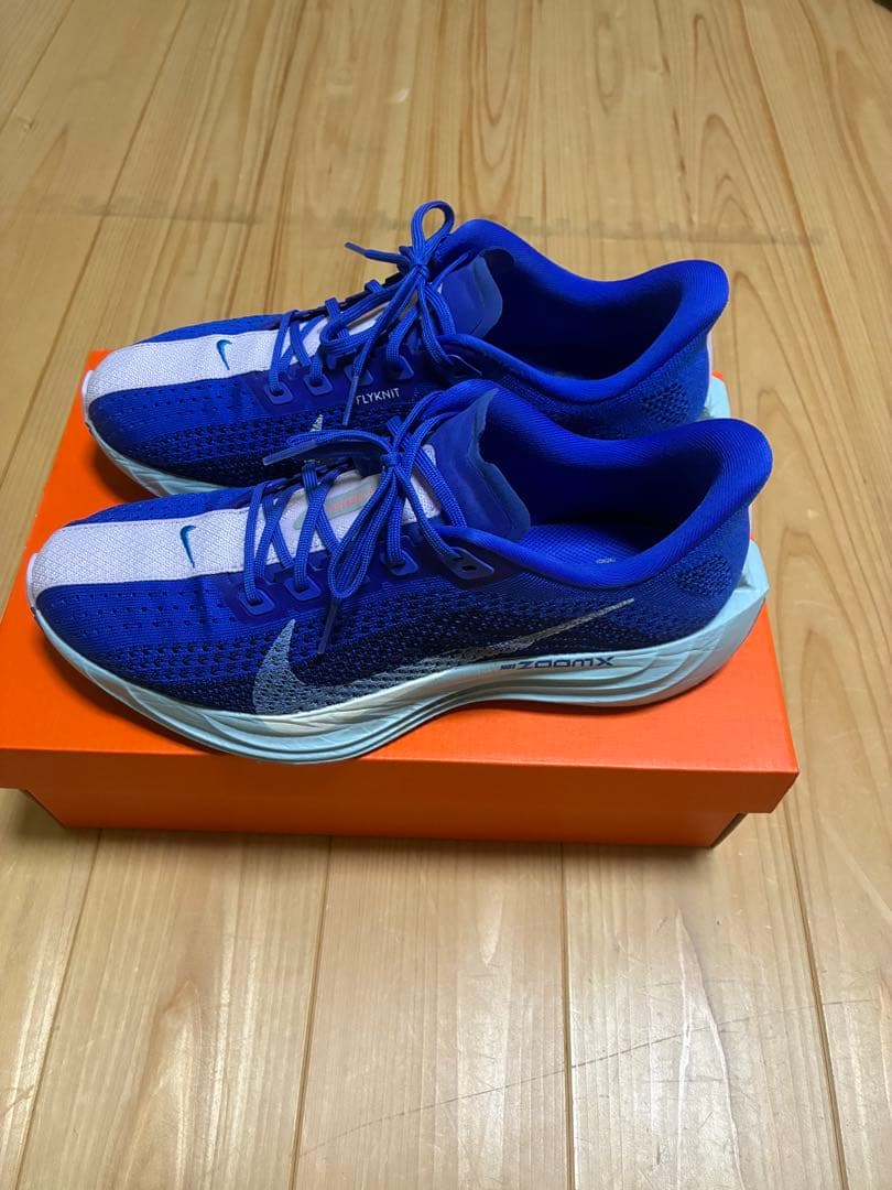 NIKE ペガサスプラス
