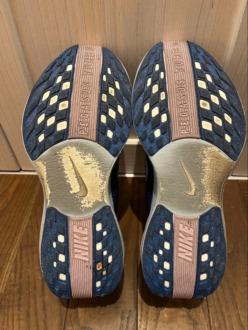 NIKE ペガサスプラス