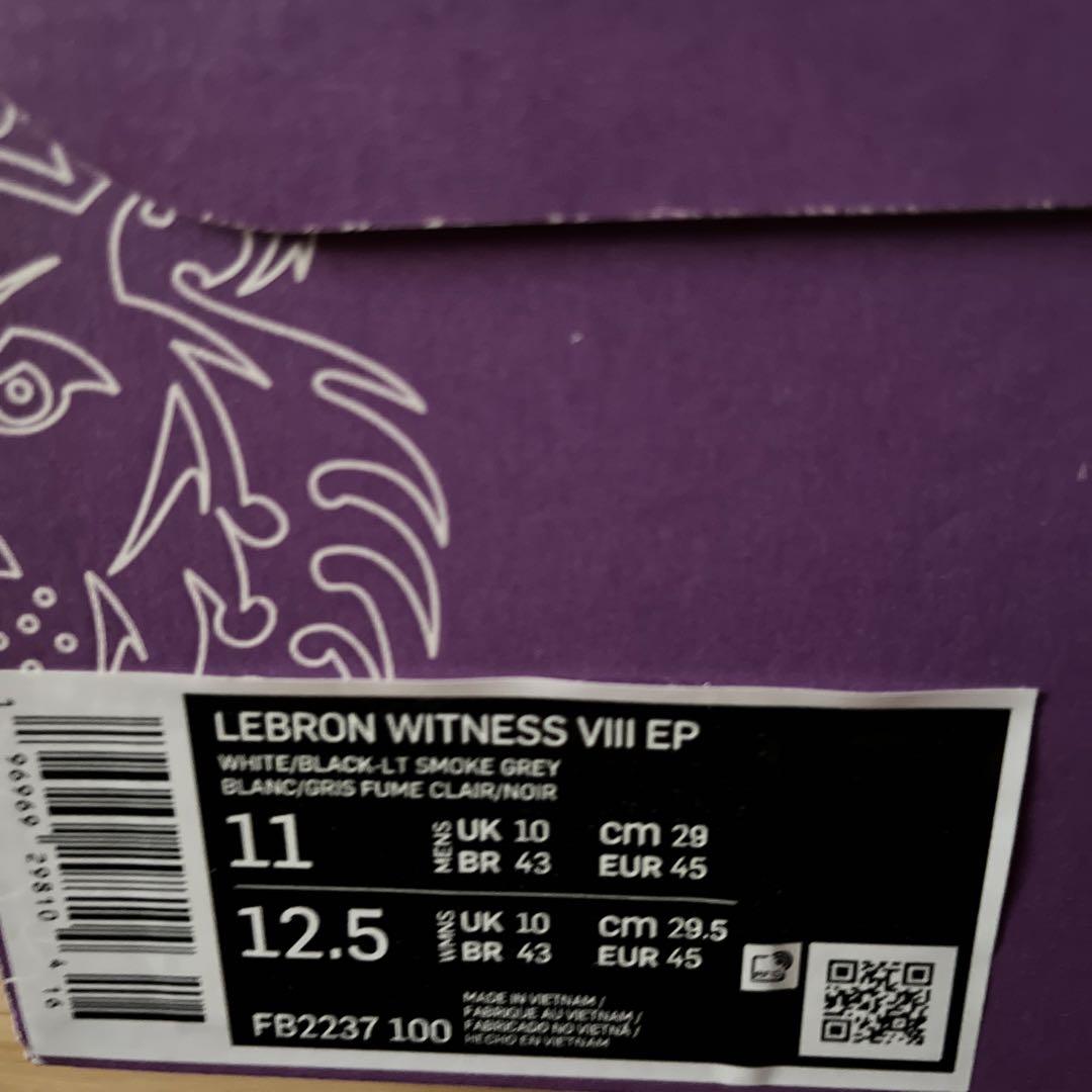 Lebron Witness VIII EP 29.0㎝　FB2237-100