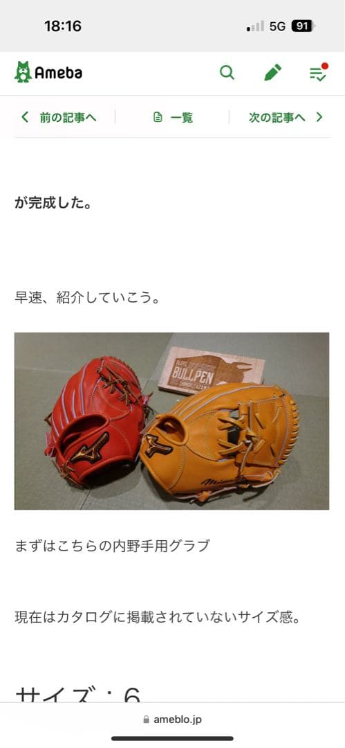 Mizuno Pro 硬式グローブ 仁志モデル