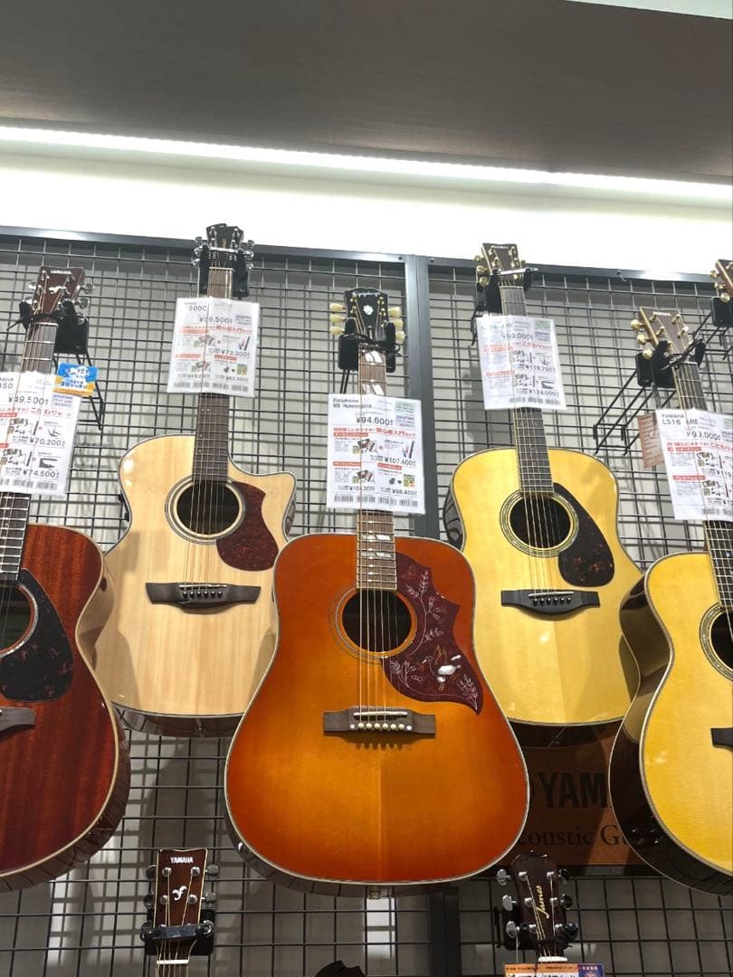 【早い者勝ち】EPIPHONE エレアコ　(ギターケース付き)【オール単板】