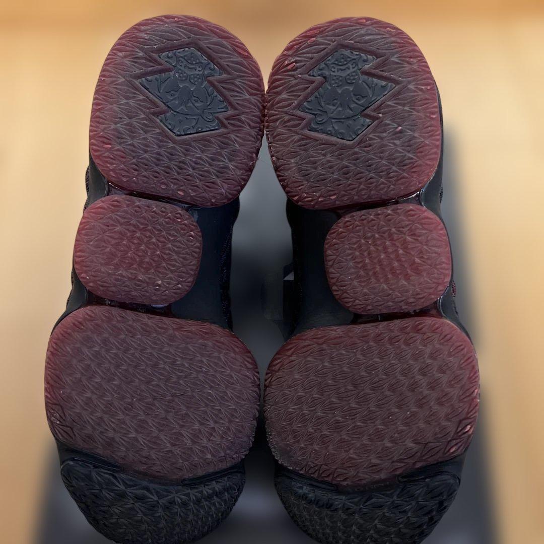 NIKE レブロン15 バスケットシューズ