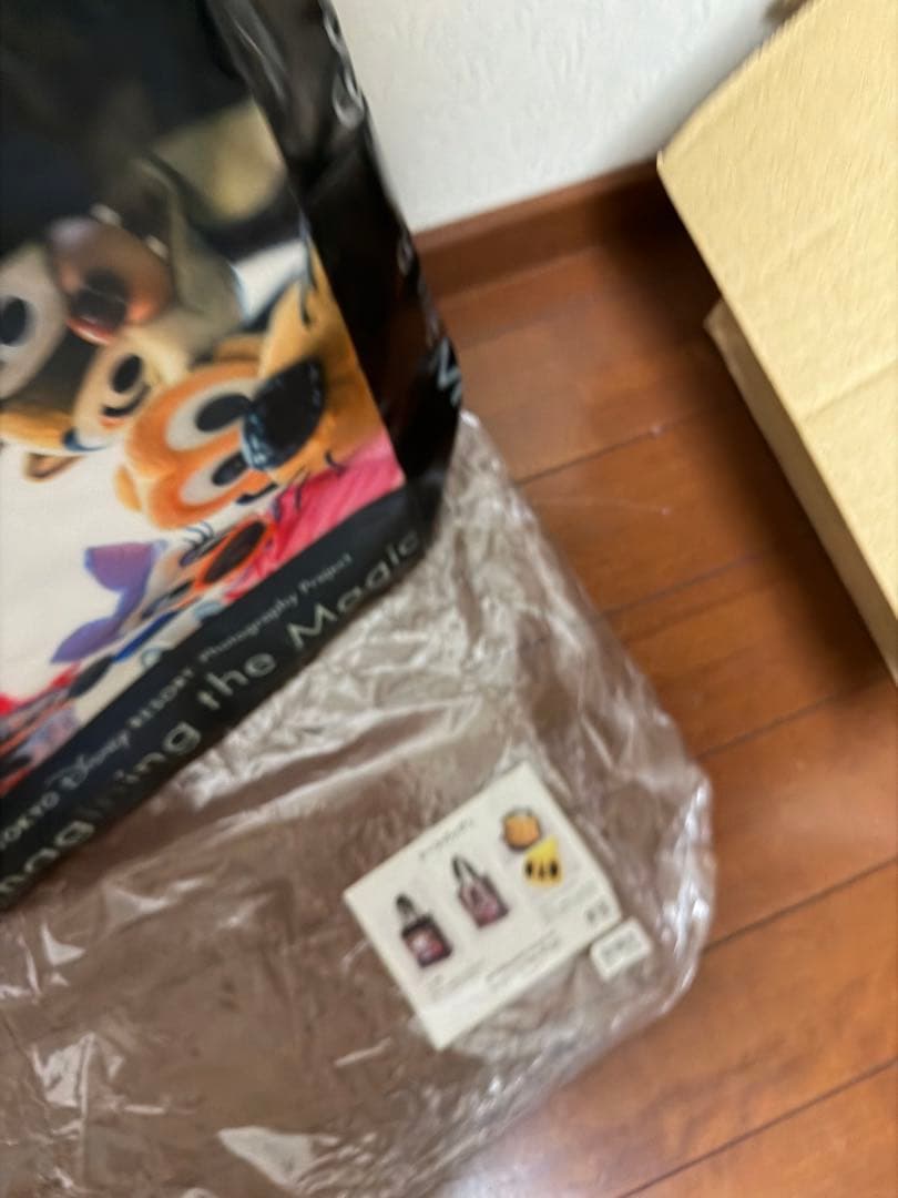 ディズニー イマジニングザマジックバッグ 実写 カメラバッグ＋パスケース2個