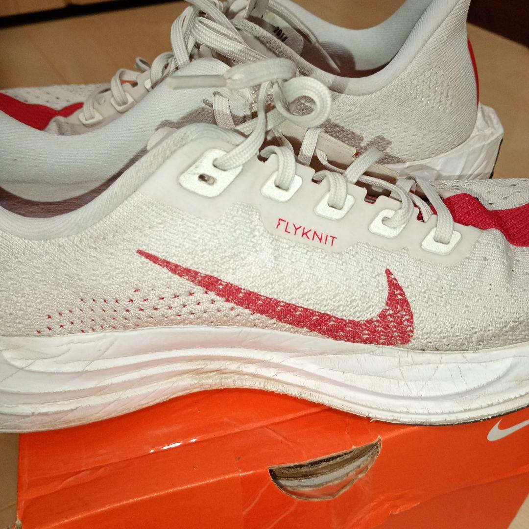 NIKE ペガサスプラス　26.0cm