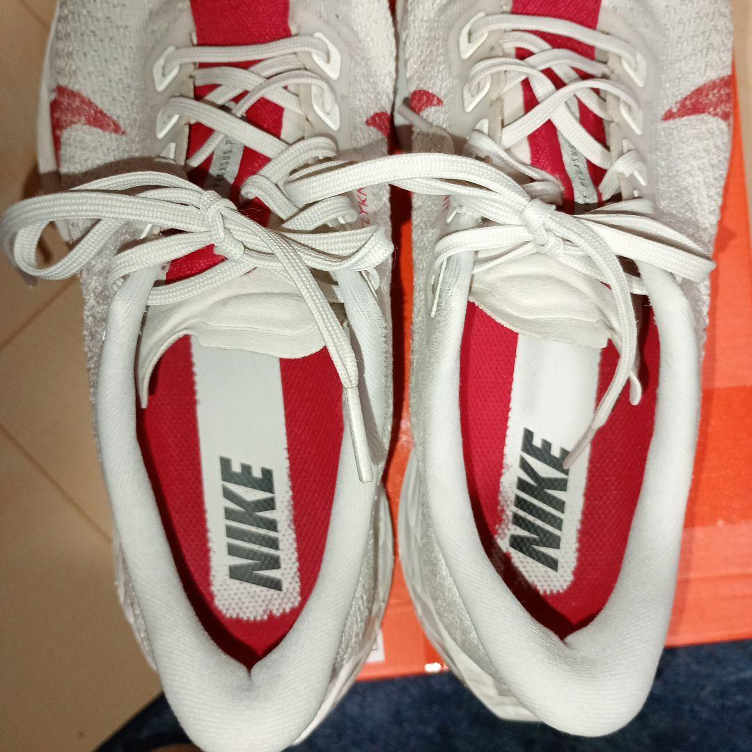 NIKE ペガサスプラス　26.0cm