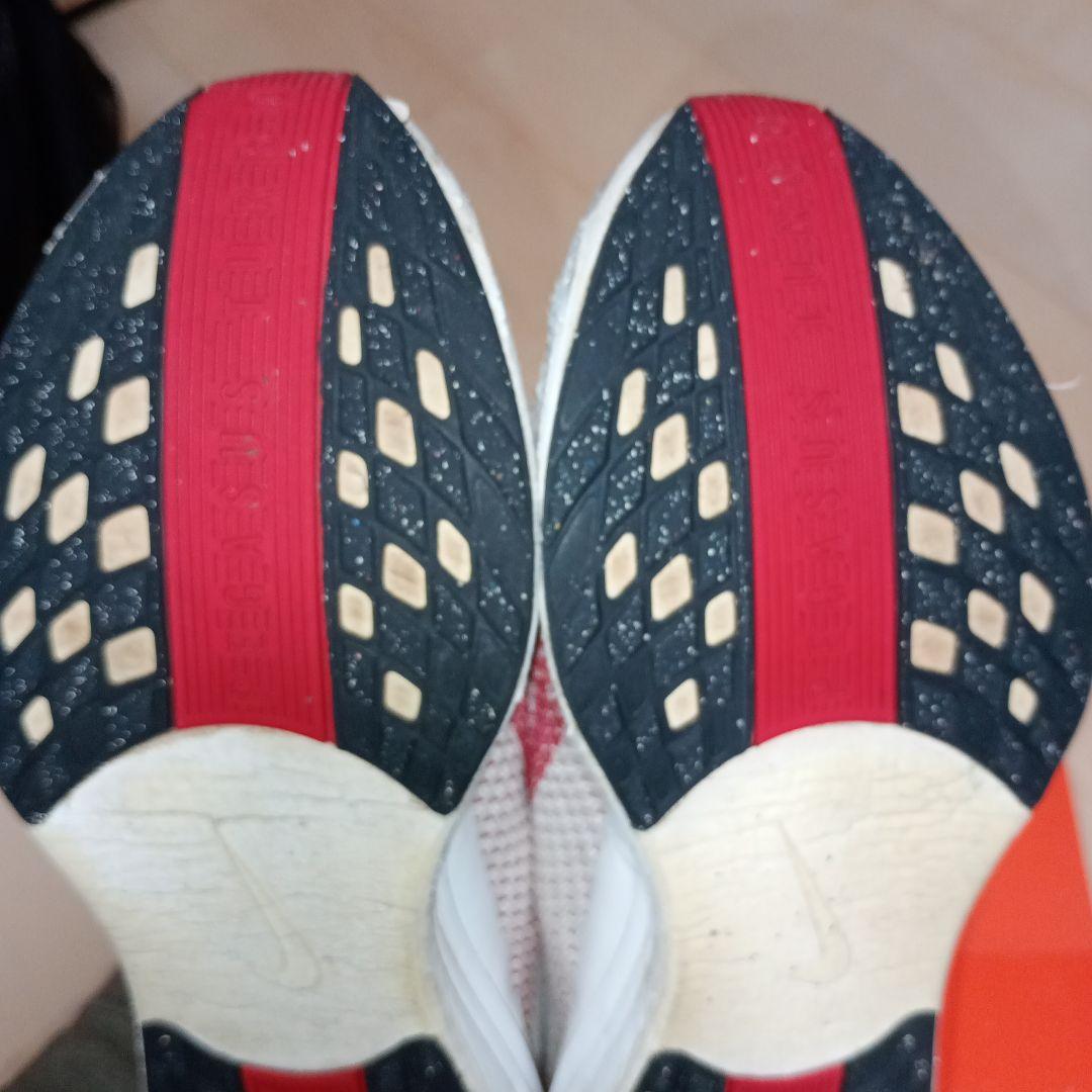 NIKE ペガサスプラス　26.0cm
