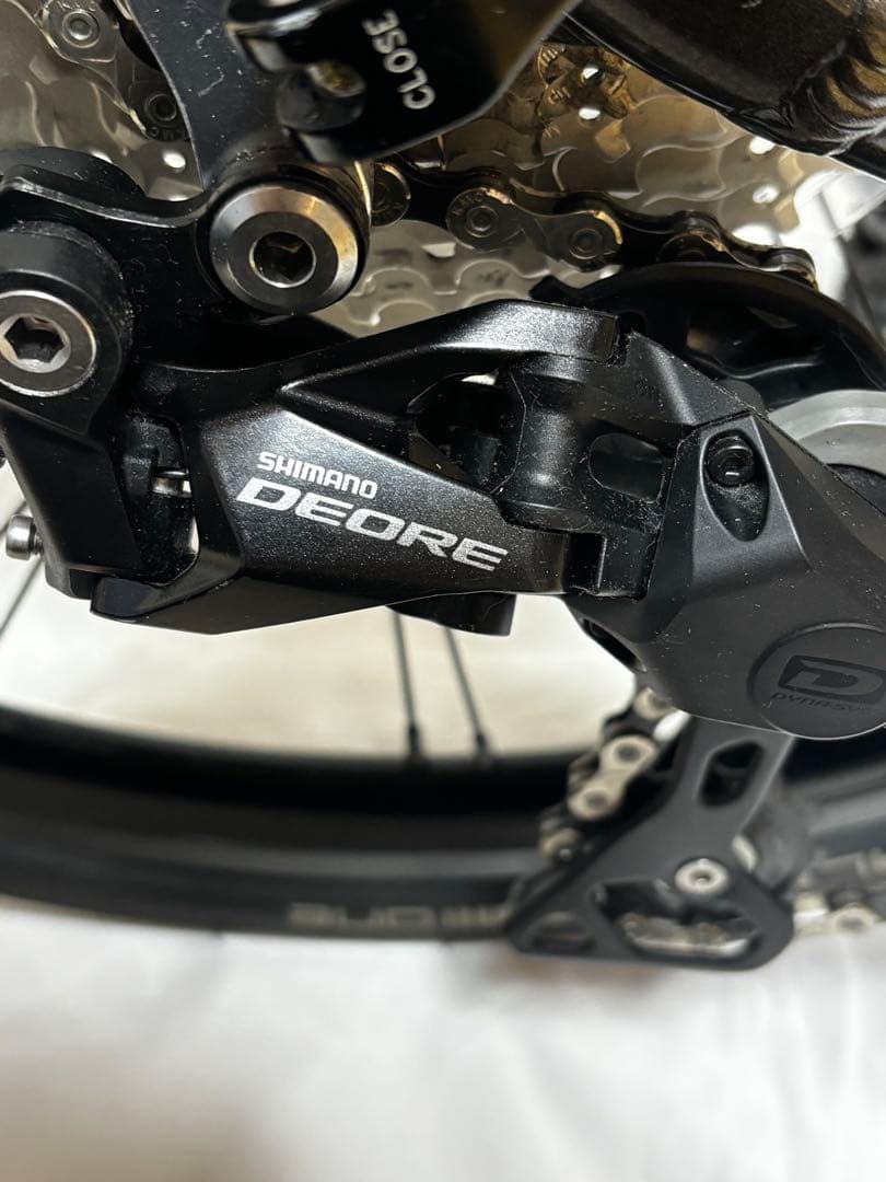 TERN ターン 2025年モデル Verge P10 バージュP10