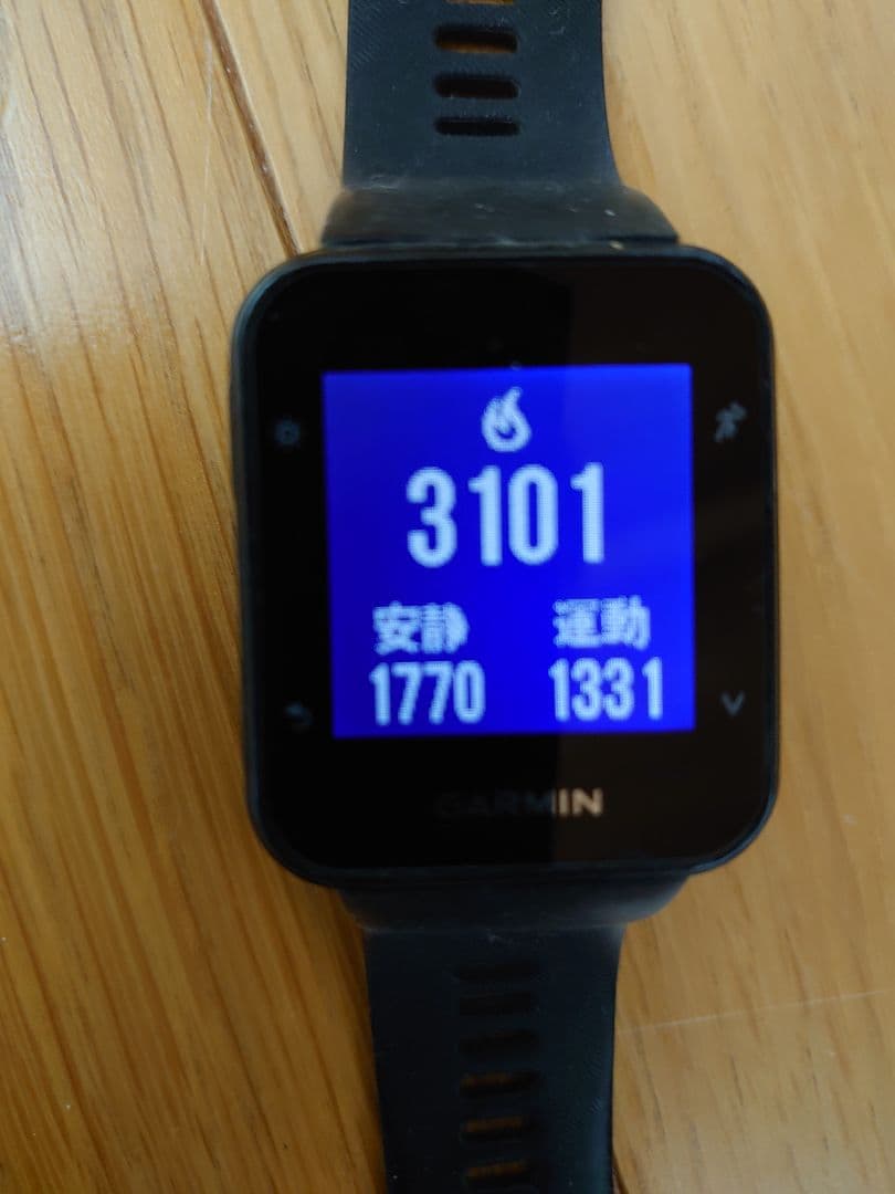 GARMIN ForAthlete35j ランニングウォッチ