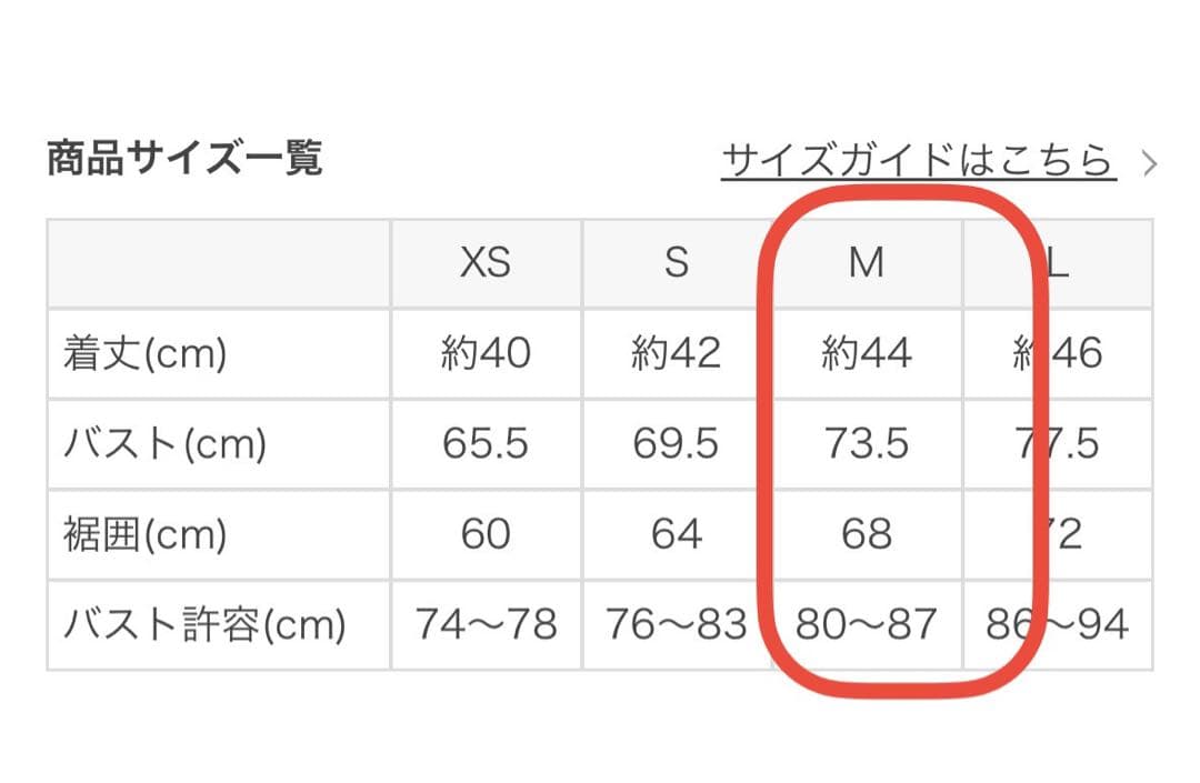 値下げ新品SUKALA スポットペイントホルターネックブラ とLAVAバッグ
