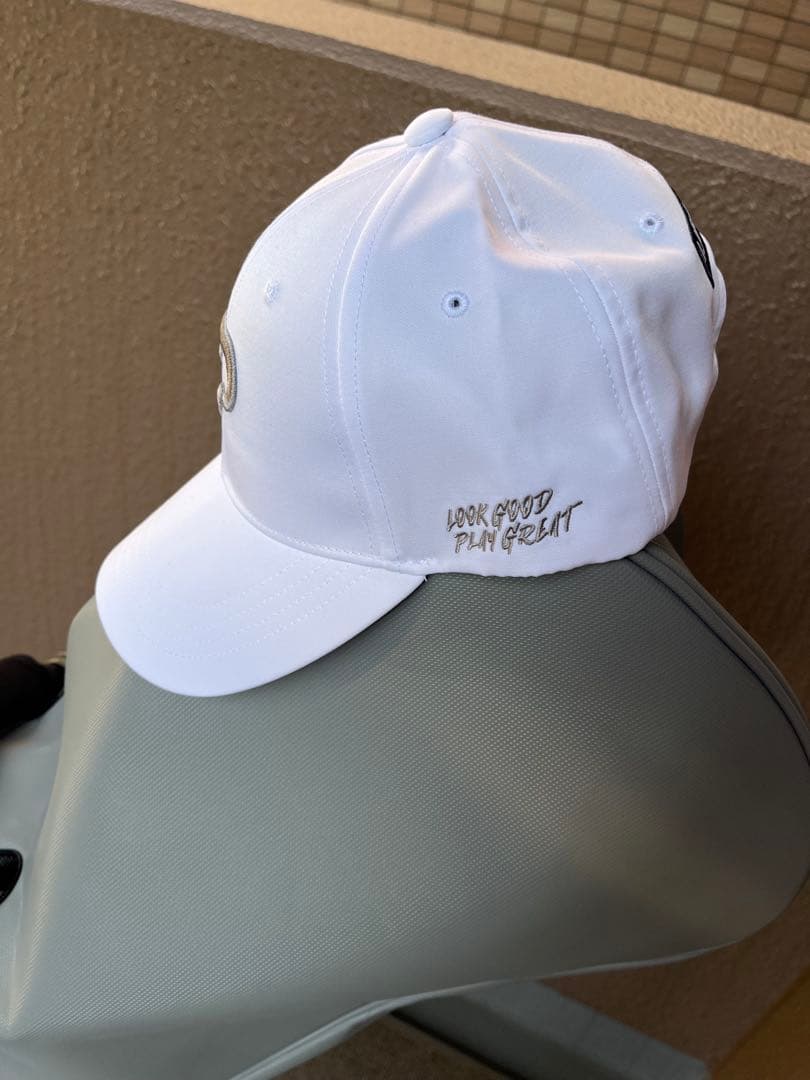 IJP DESIGN キャディーバック新品未使用