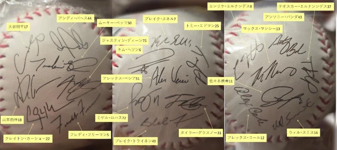 c*e様 2025MLB WS チャンピオンボール ロサンゼルスドジャース サイ