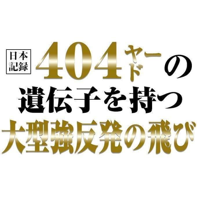 【新品】ワイルドマキシマックス 三菱ケミカル製 飛匠シャフト仕様 ワークスゴルフ