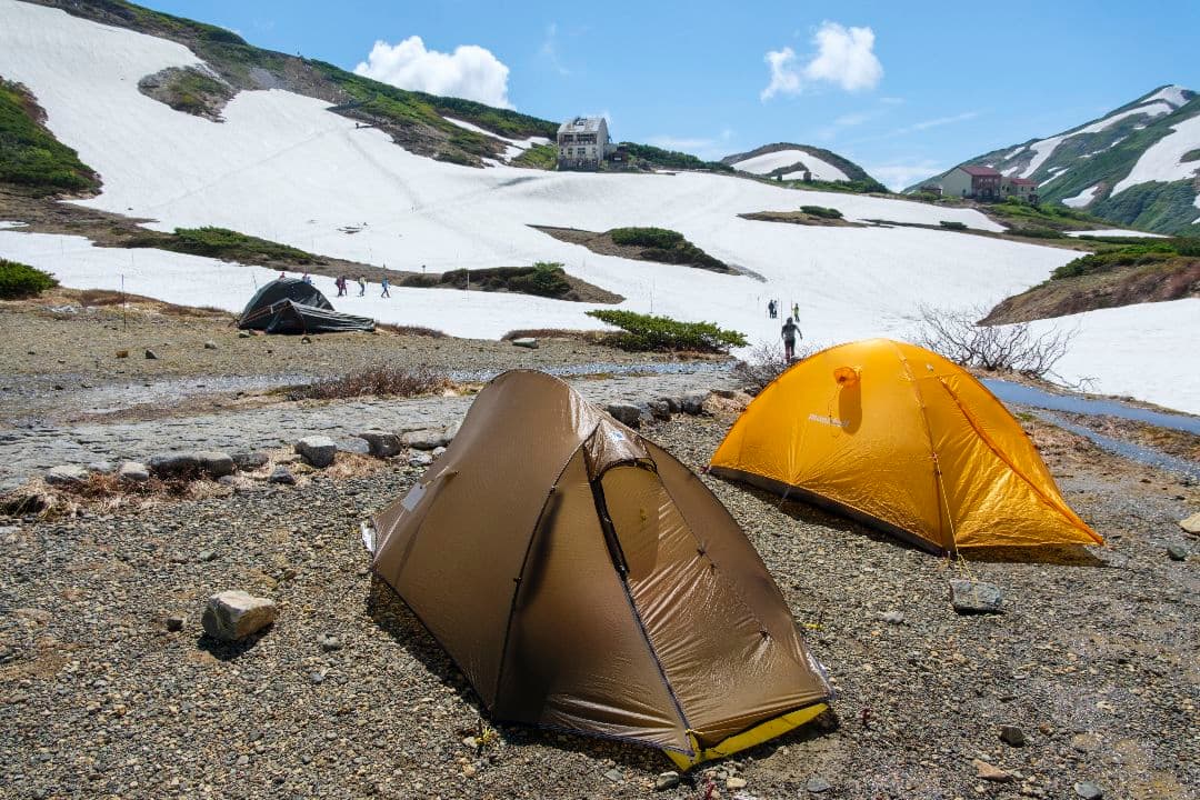 TERRA NOVA Solar Photon 2　日本限定カラー