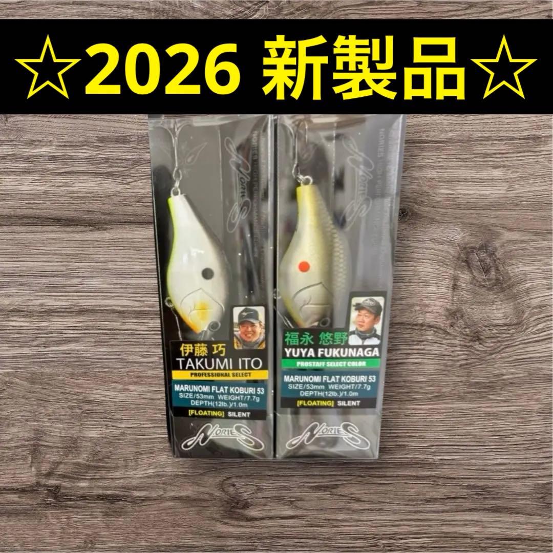 【新品未使用】ノリーズ マルノミフラット　コブリ53 人気カラーセット　2