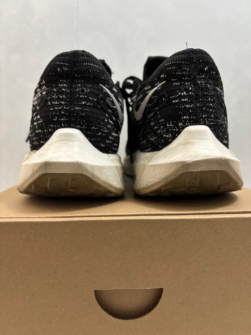 NIKE ペガサスターボ ネクストネイチャー 27.5cm ズームX 状態良