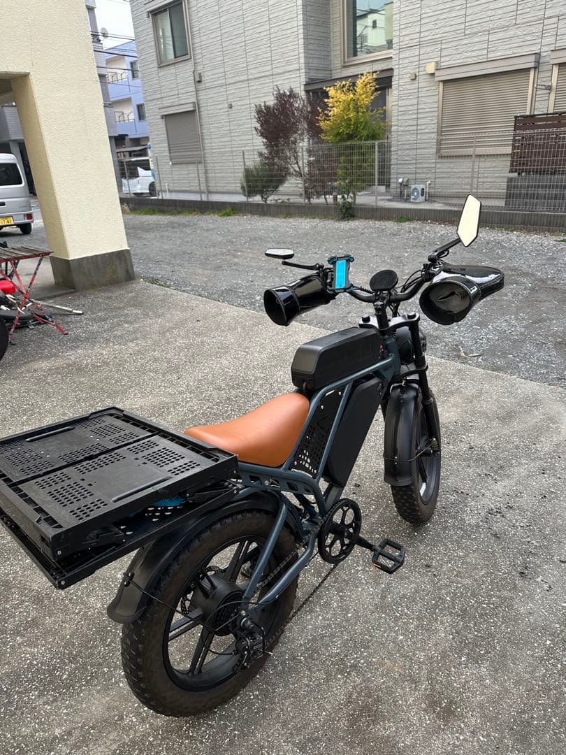 電動アシスト自転車 ブラック