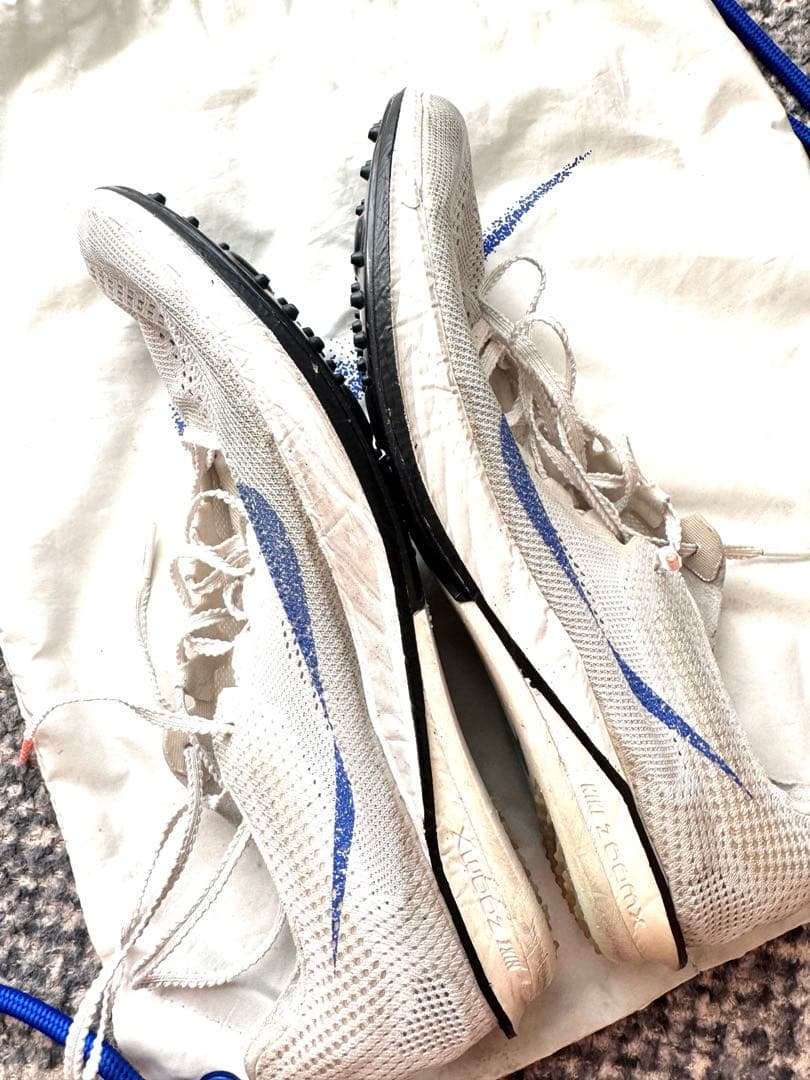 NIKE ドラゴンフライ2 27.5cm