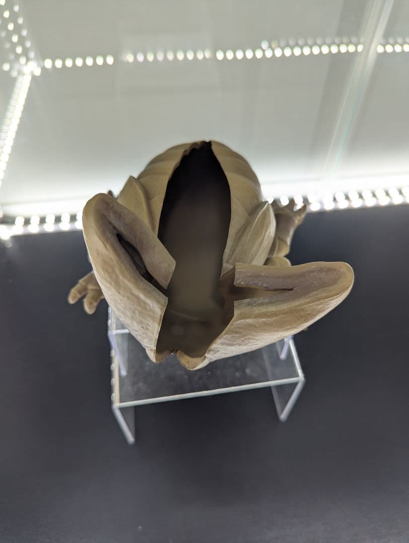 セル　抜け殻　フィギュア　アソビストア限定　当選品　一番くじ　フィギュアーツ