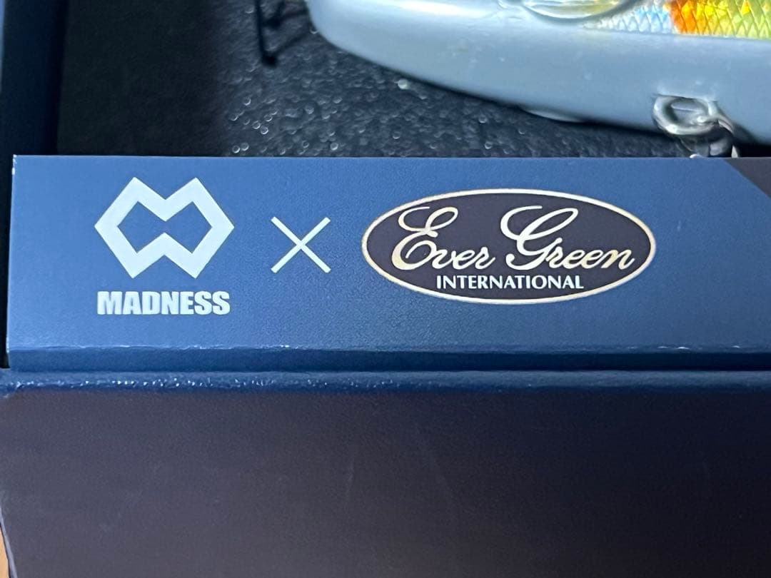 39番バラム300 MADNESS✖️Evergreen BALAM300菊元ハス
