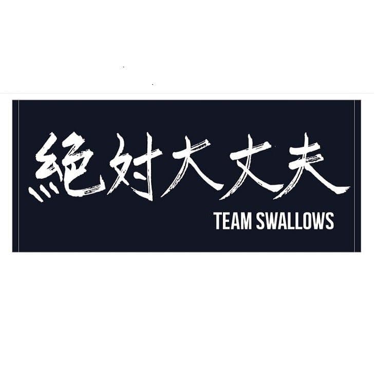 スワローズ 絶対大丈夫タオル ネイビー白　セット