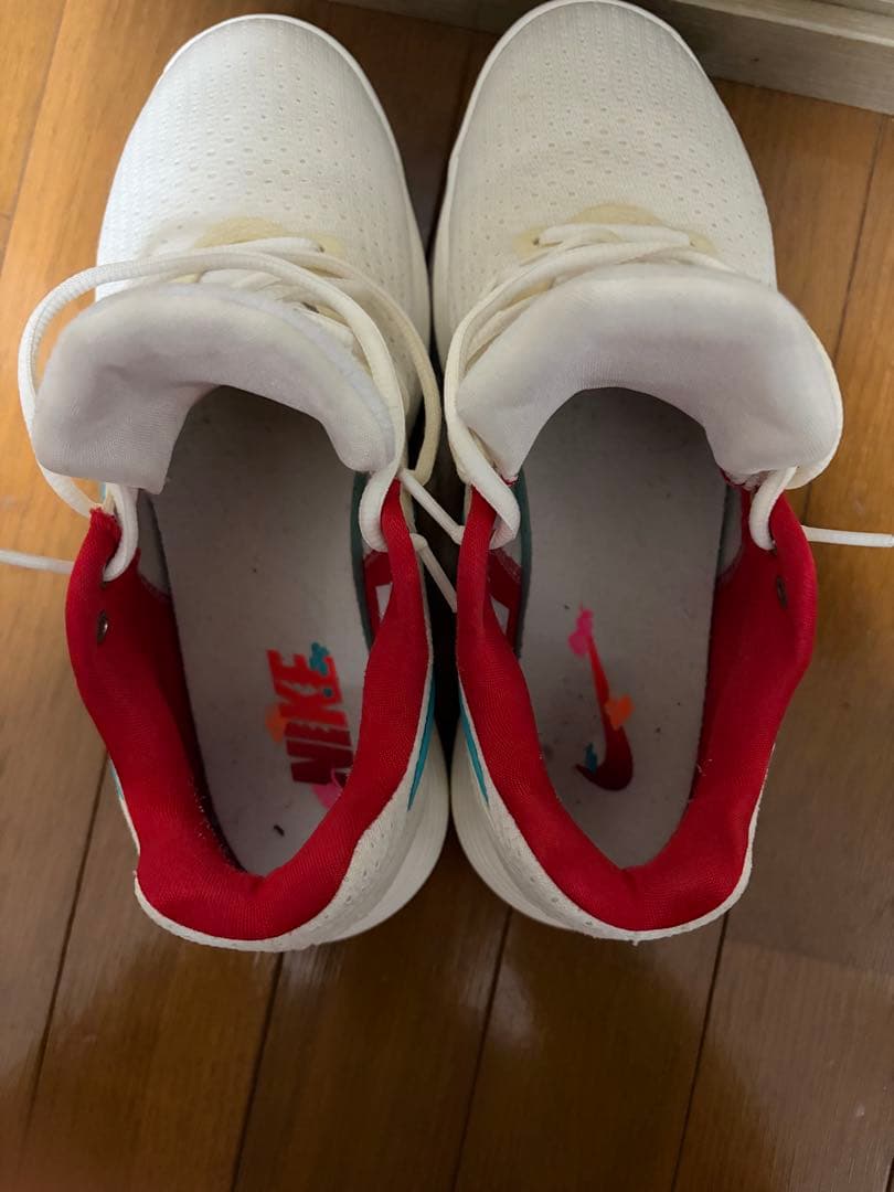 Nike ハイパーダンク2017 low EP