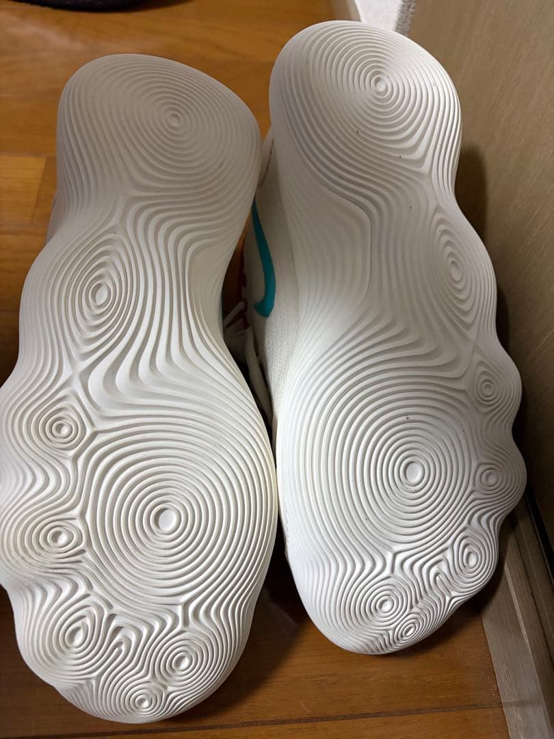 Nike ハイパーダンク2017 low EP