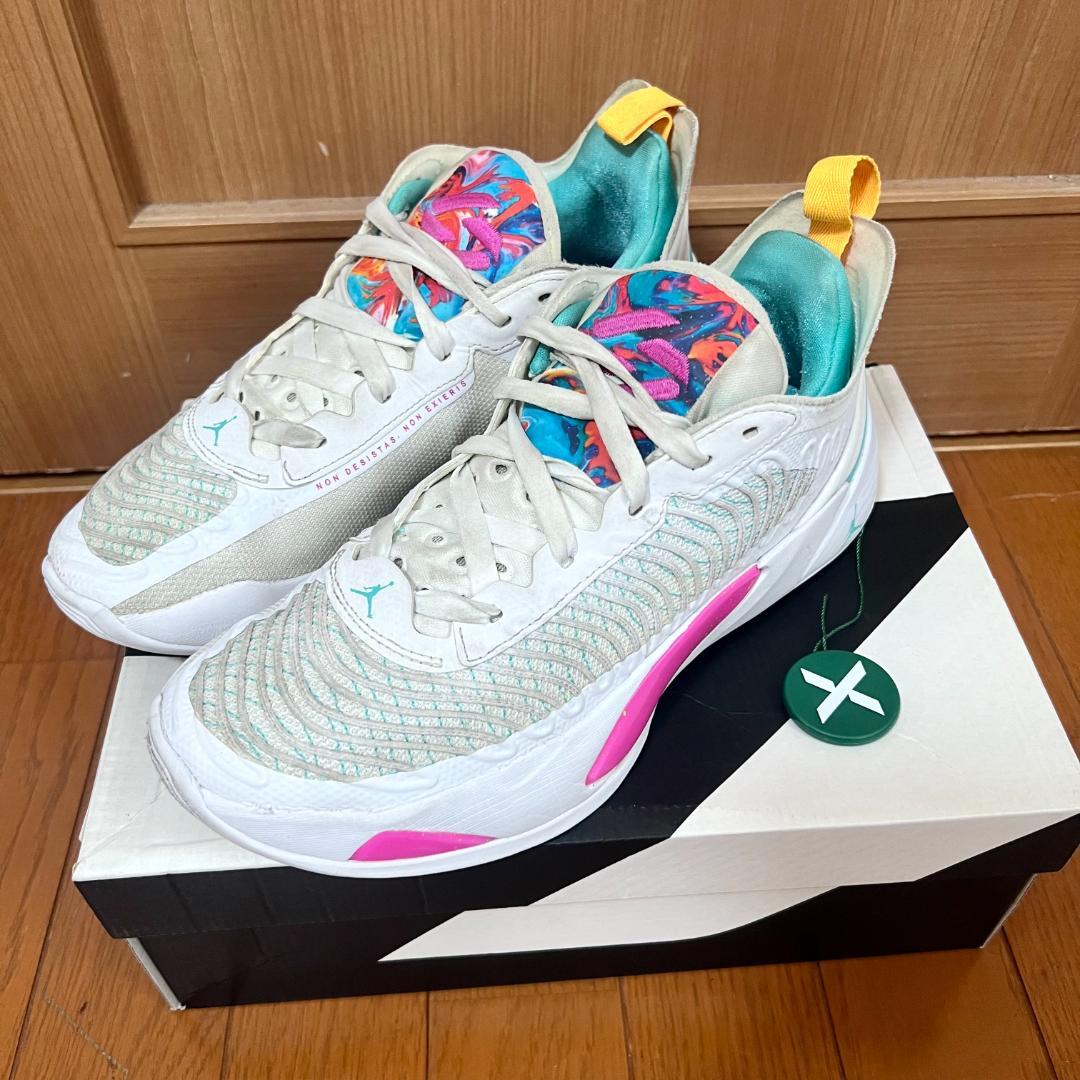 NIKE ナイキ JORDAN LUKA 1 PF 25.5cm