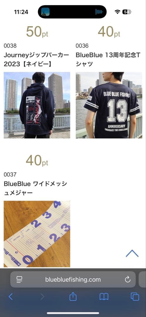 ブルーブルー 応募券85P
