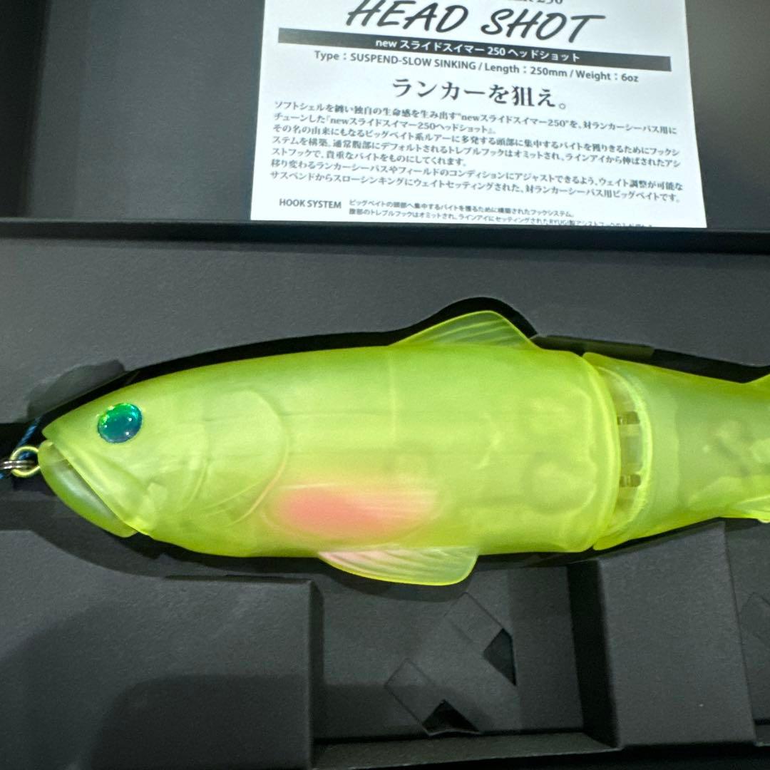 スライドスイマー250 ヘッドショット