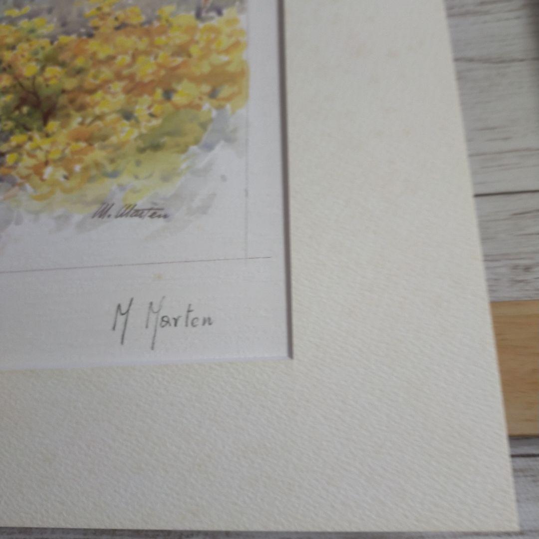 M. Marten, Lights in the Pond　公園　風景画