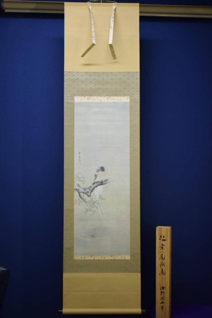 複製/狩野探幽/海常に尾長鳥/工芸/桐共箱付/布袋屋掛軸HH-933