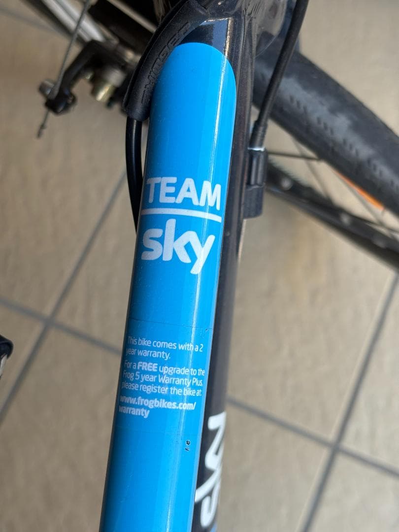 子供用　20インチバイク　Frog Road TEAMSky 改造あり