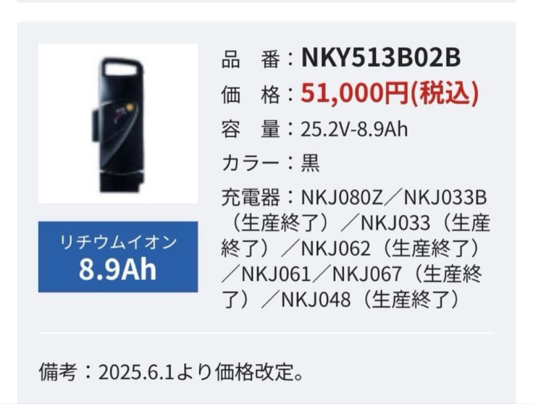Panasonic リチウムイオンバッテリー NKY513B02B 新品未使用品