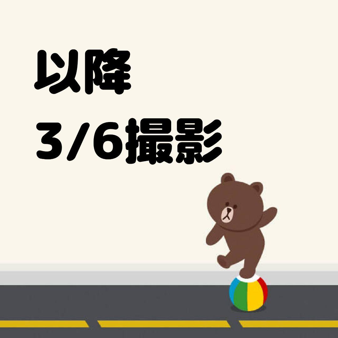 ビカクシダ②
