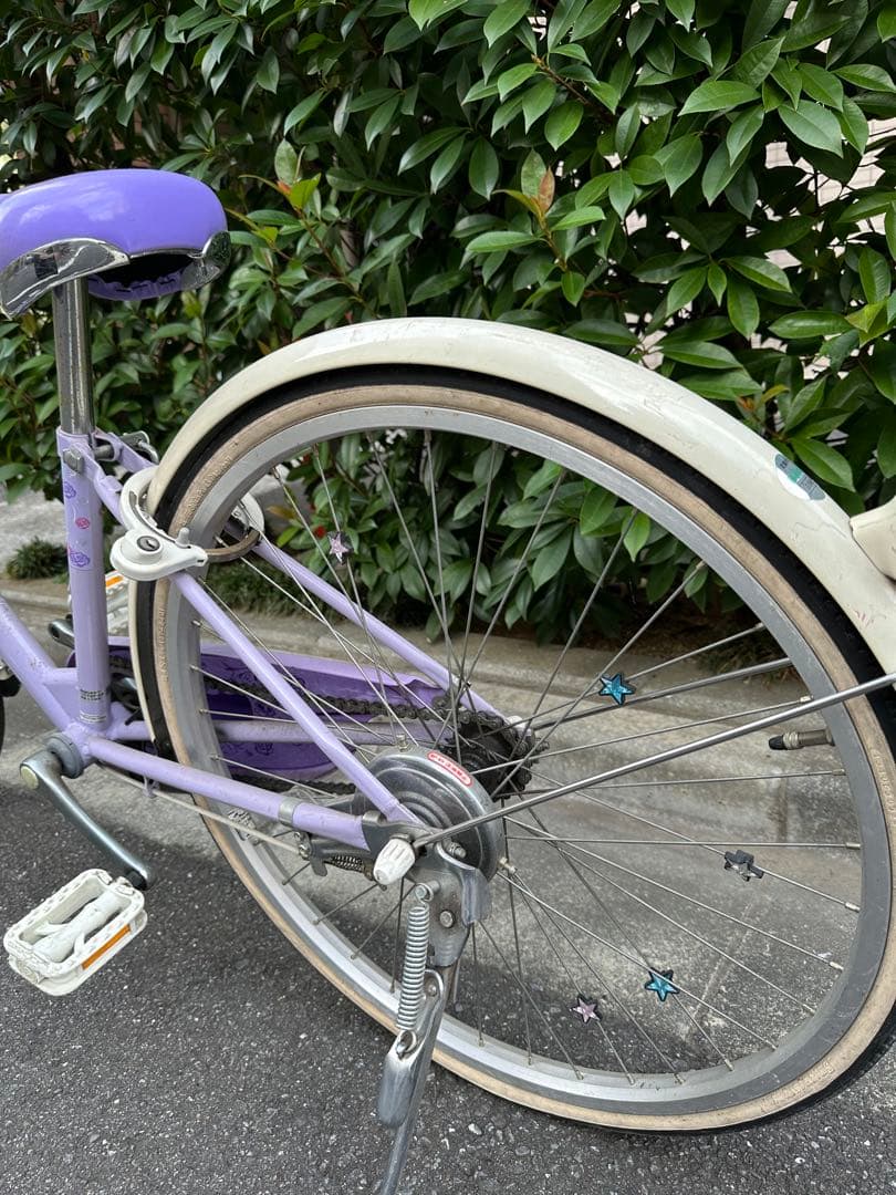 子供用自転車 紫色 (かぼちゃの馬車&花)前カゴ付き24インチ