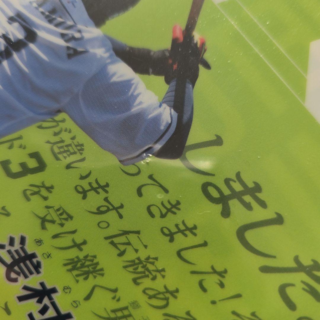 埼玉西武ライオンズ　クリアファイル20点