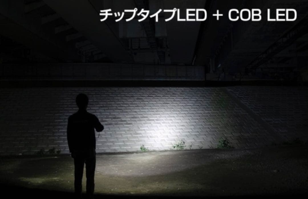 【新品】ジェントス LED 懐中電灯 防災 DIO ライト DI-217R　2本